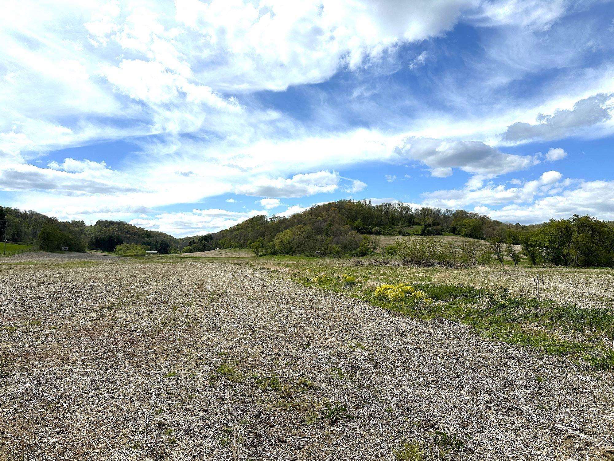 104.4+/- Acres Morgan Drive