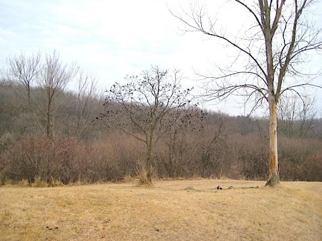 Lot 16 Ohmer Ridge Subdivision Property Photo 1