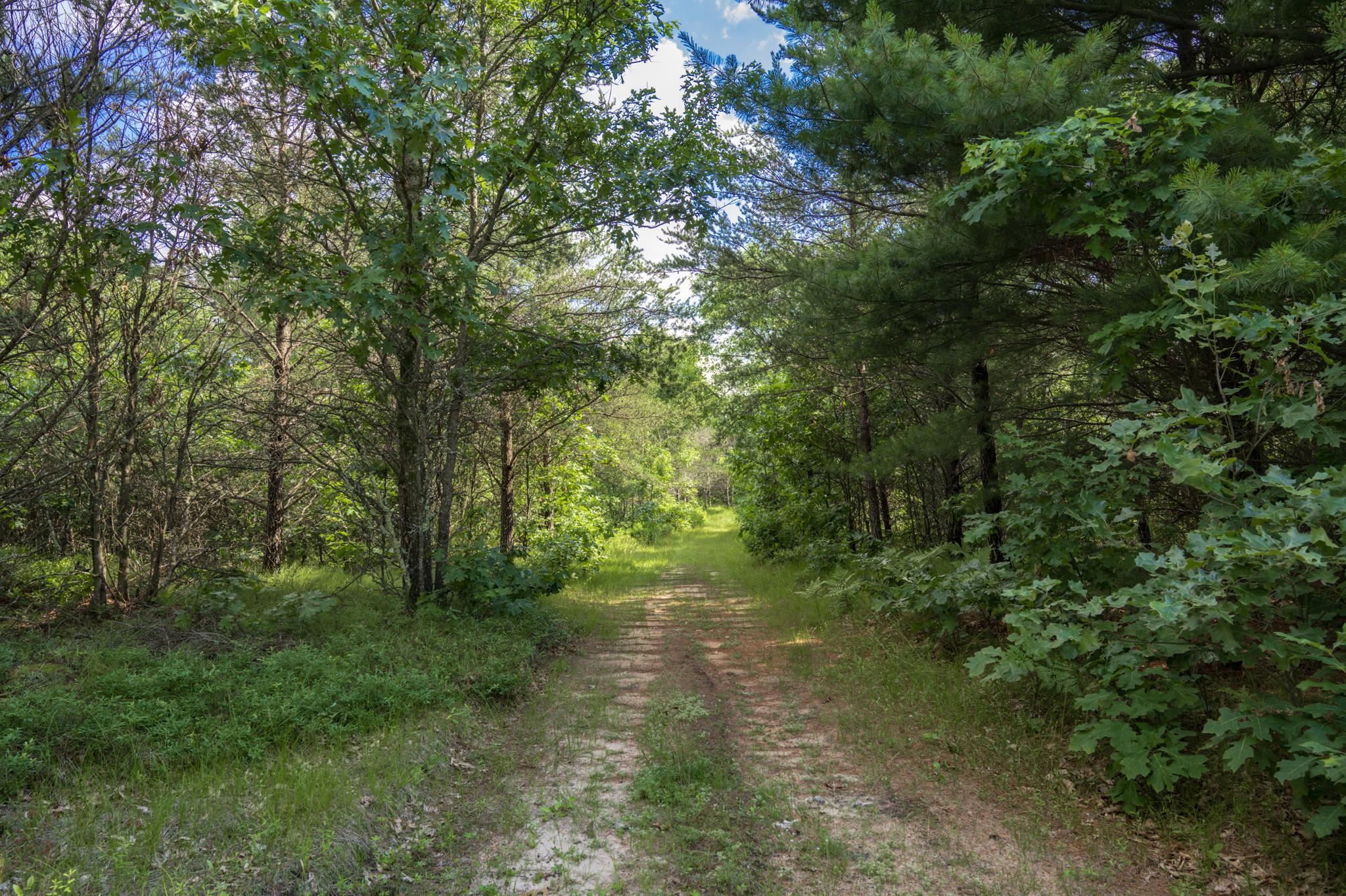 Lot 2 18th Street Property Photo 1