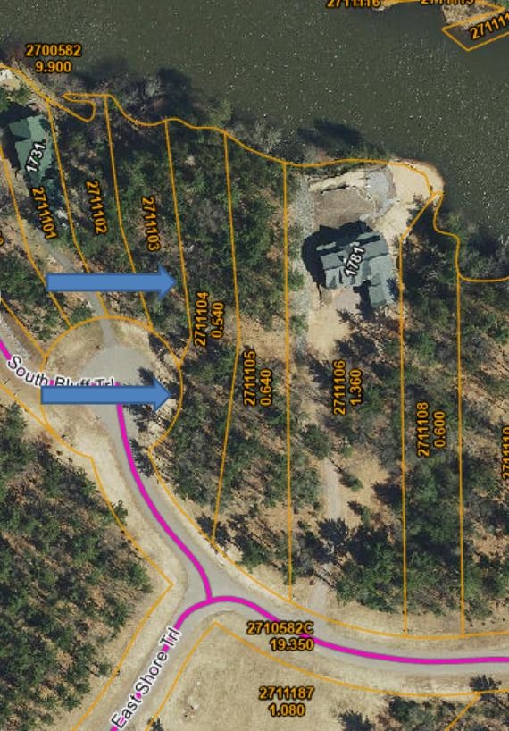 L44 S Bluff Property Photo 1