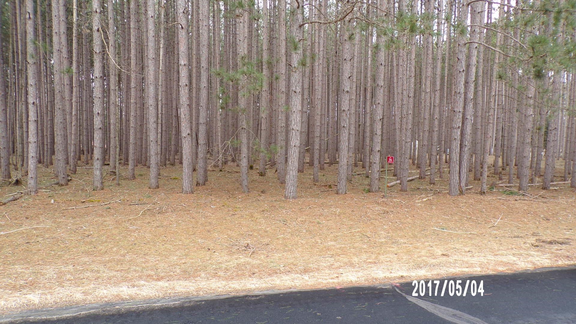 246 Winchester Road Property Photo 1