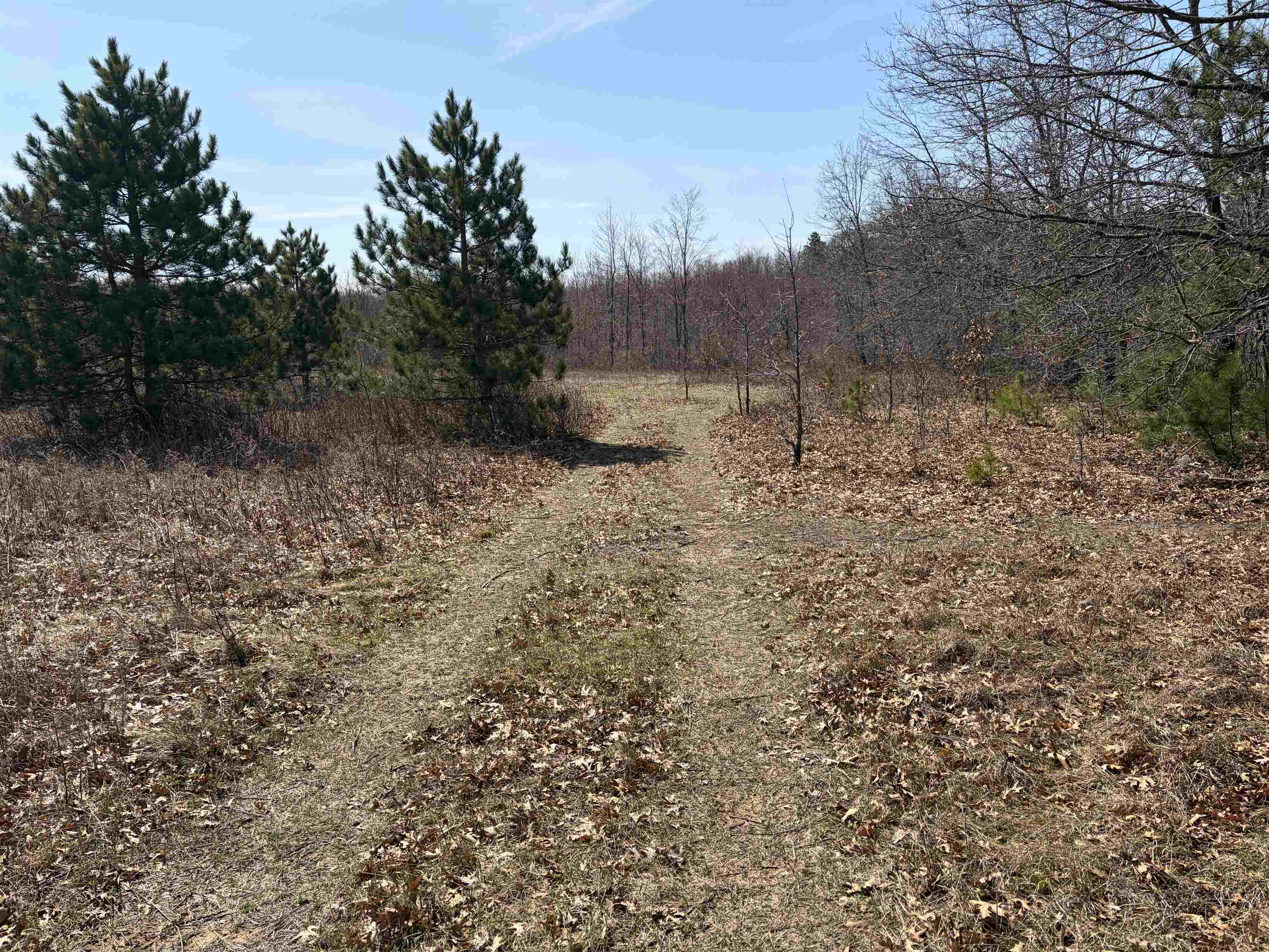 40 Acres Town Hall Road
