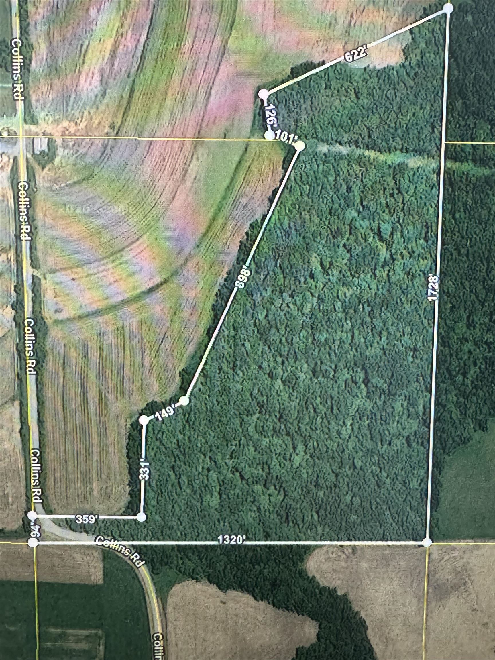 27.64 Acres, Collins Road Property Photo 1