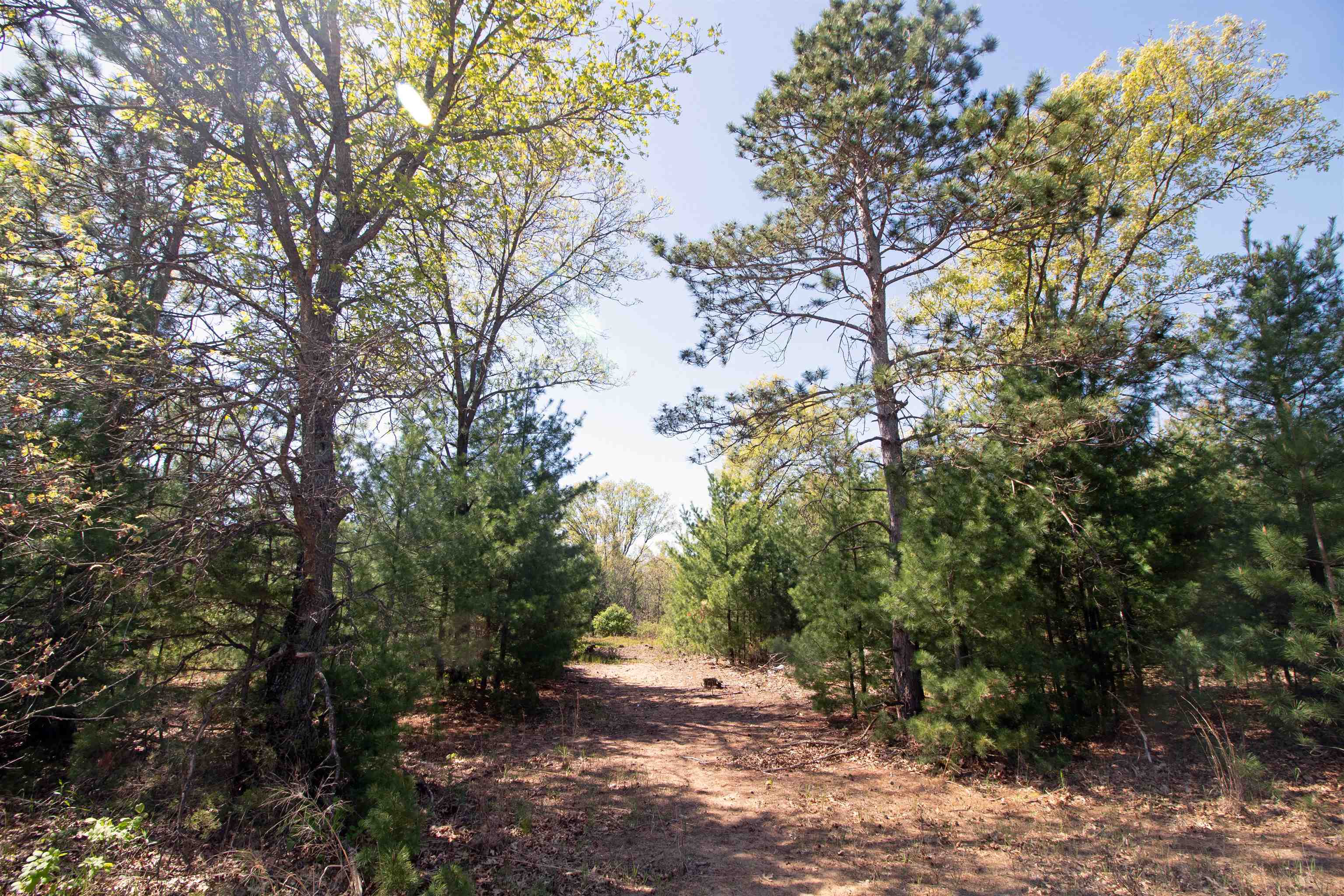 Lot20 Timber Trail