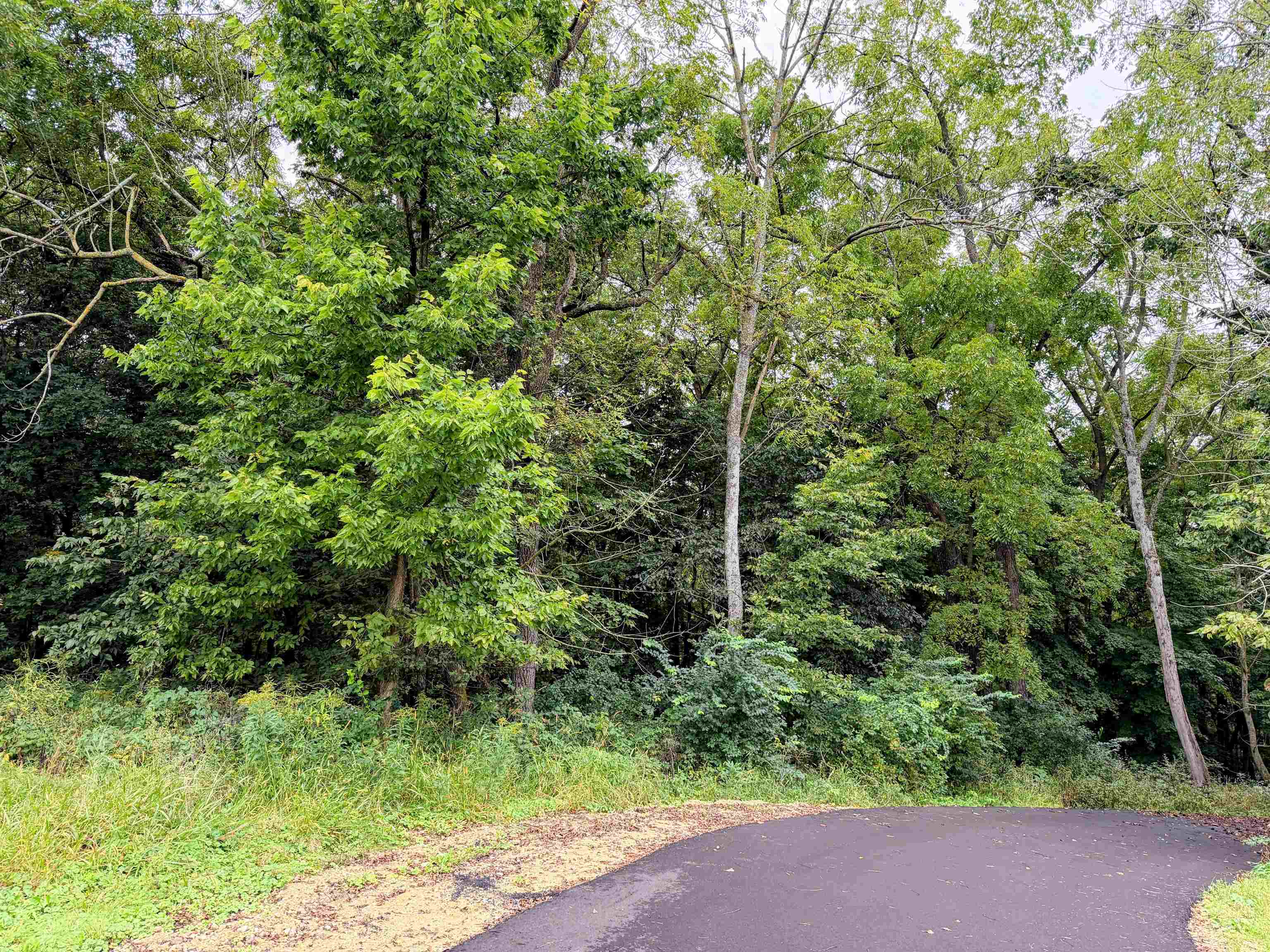 Lot 29 Eagle Drive Property Photo 1