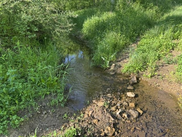 000 Byrd's Creek Valley Dr. Road Property Photo 1