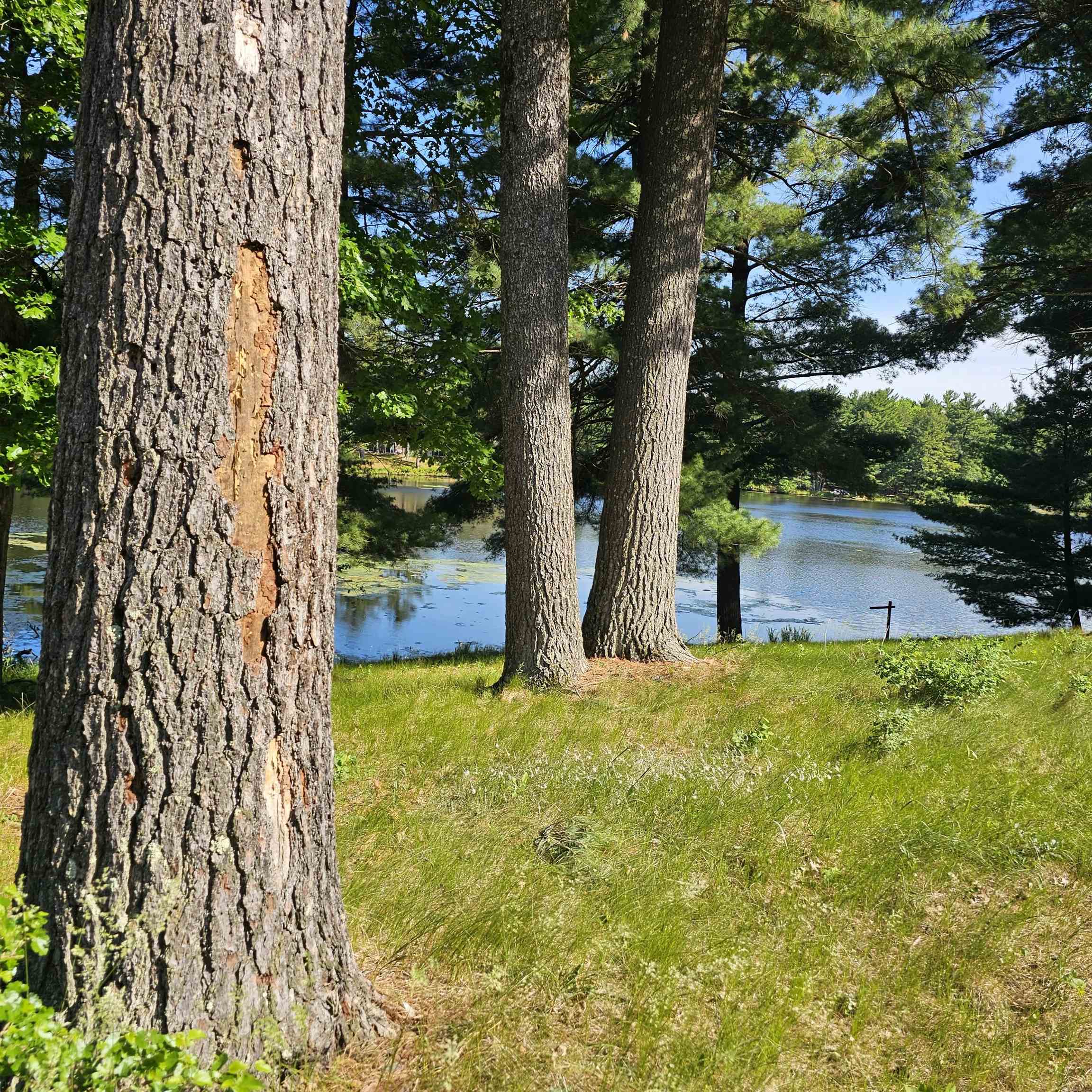 558 Blass Lake Drive