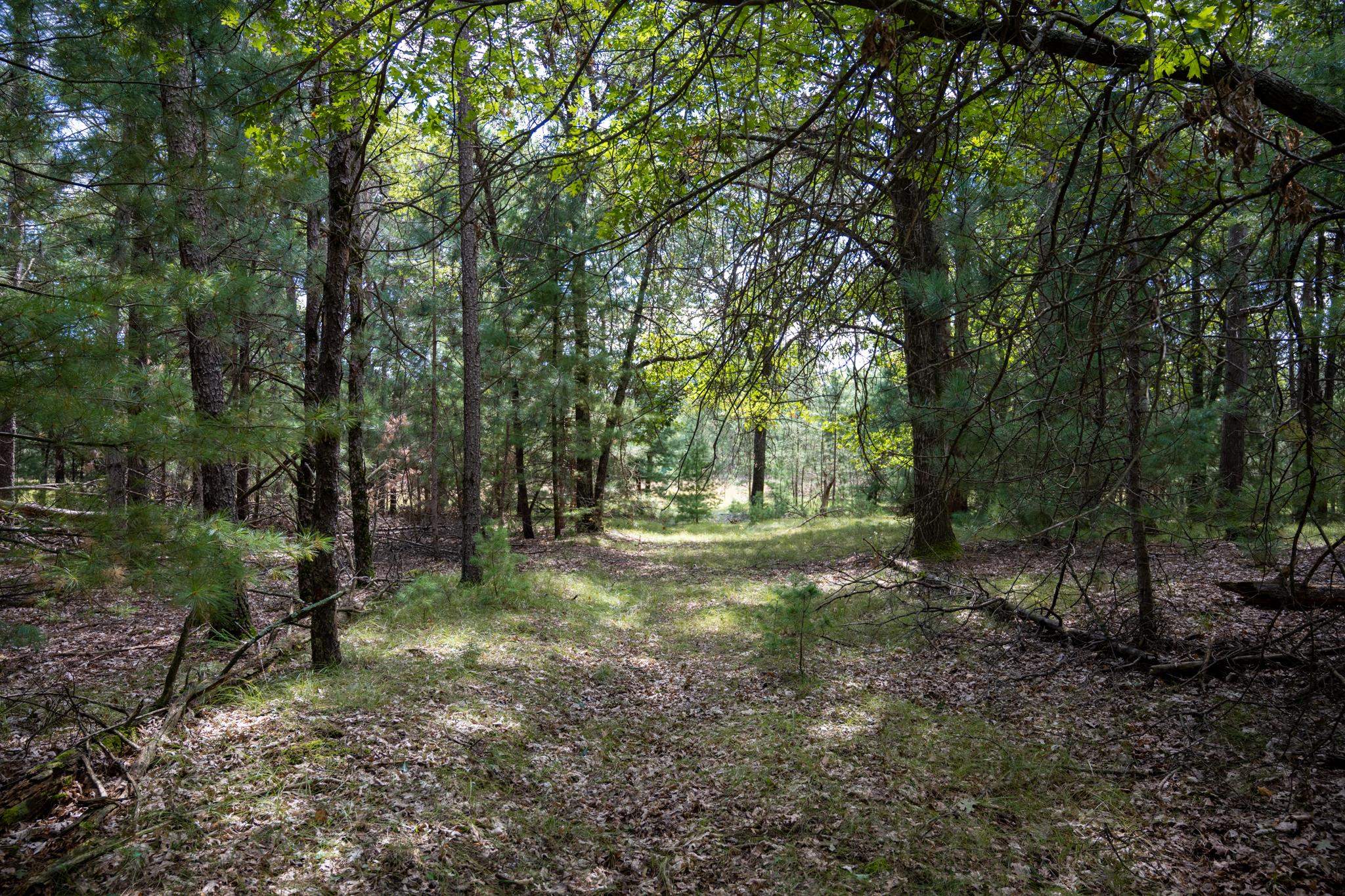 Lot 4 Meadow Drive Property Photo 1