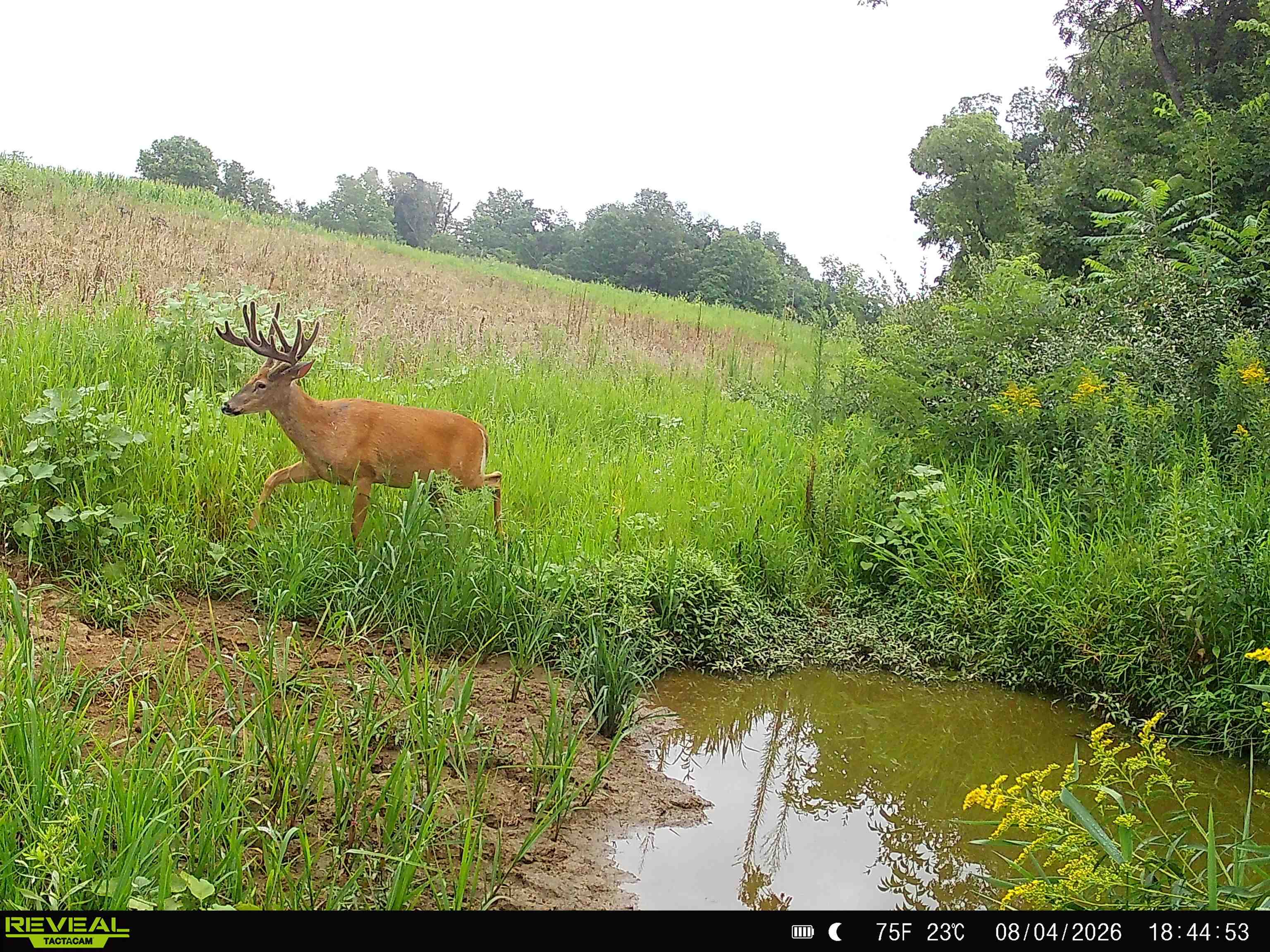 153+/- Acres Shimmering Lane Property Photo 1