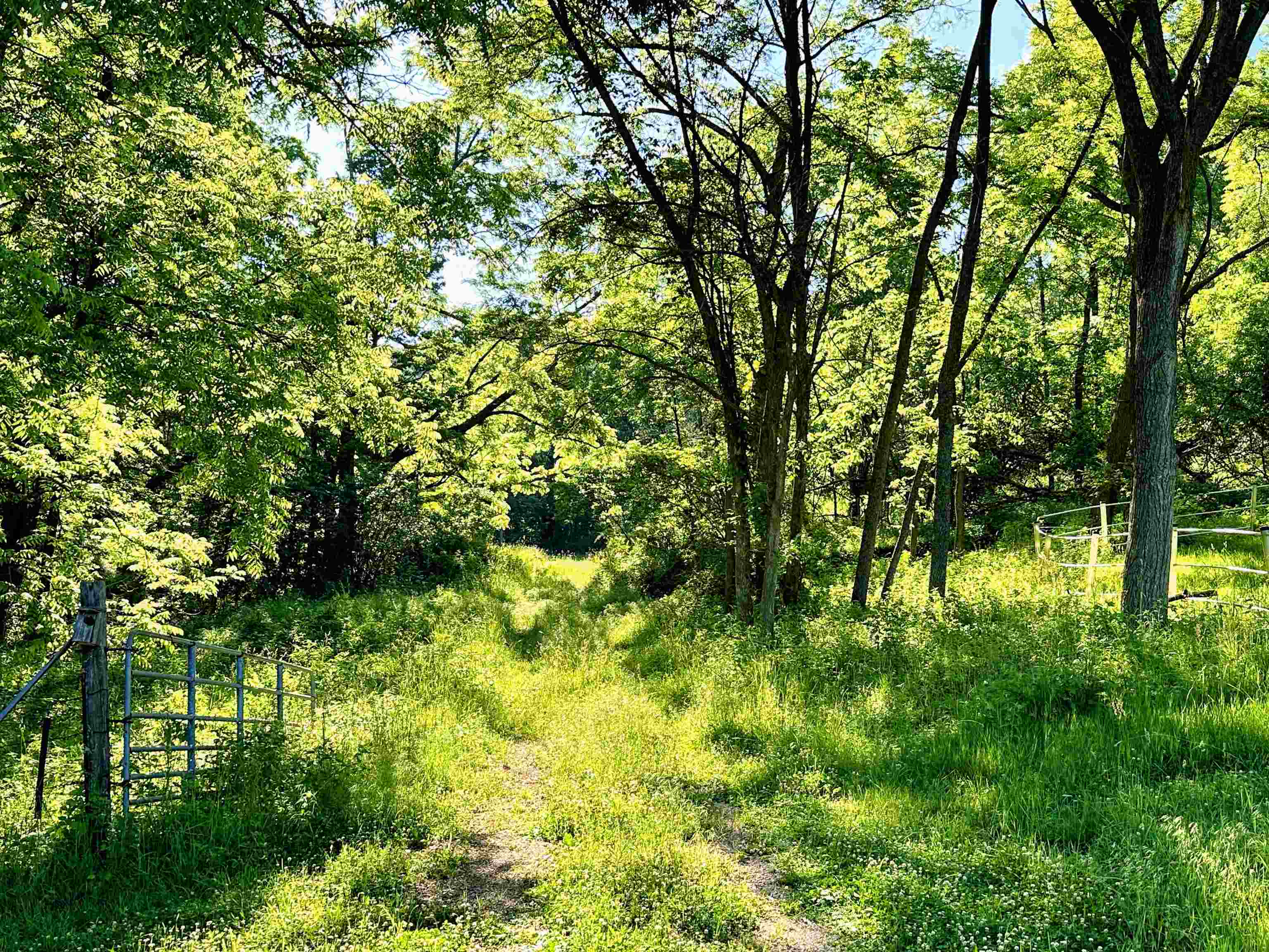 26 Acres +/- Tanglewood Drive Property Photo 1