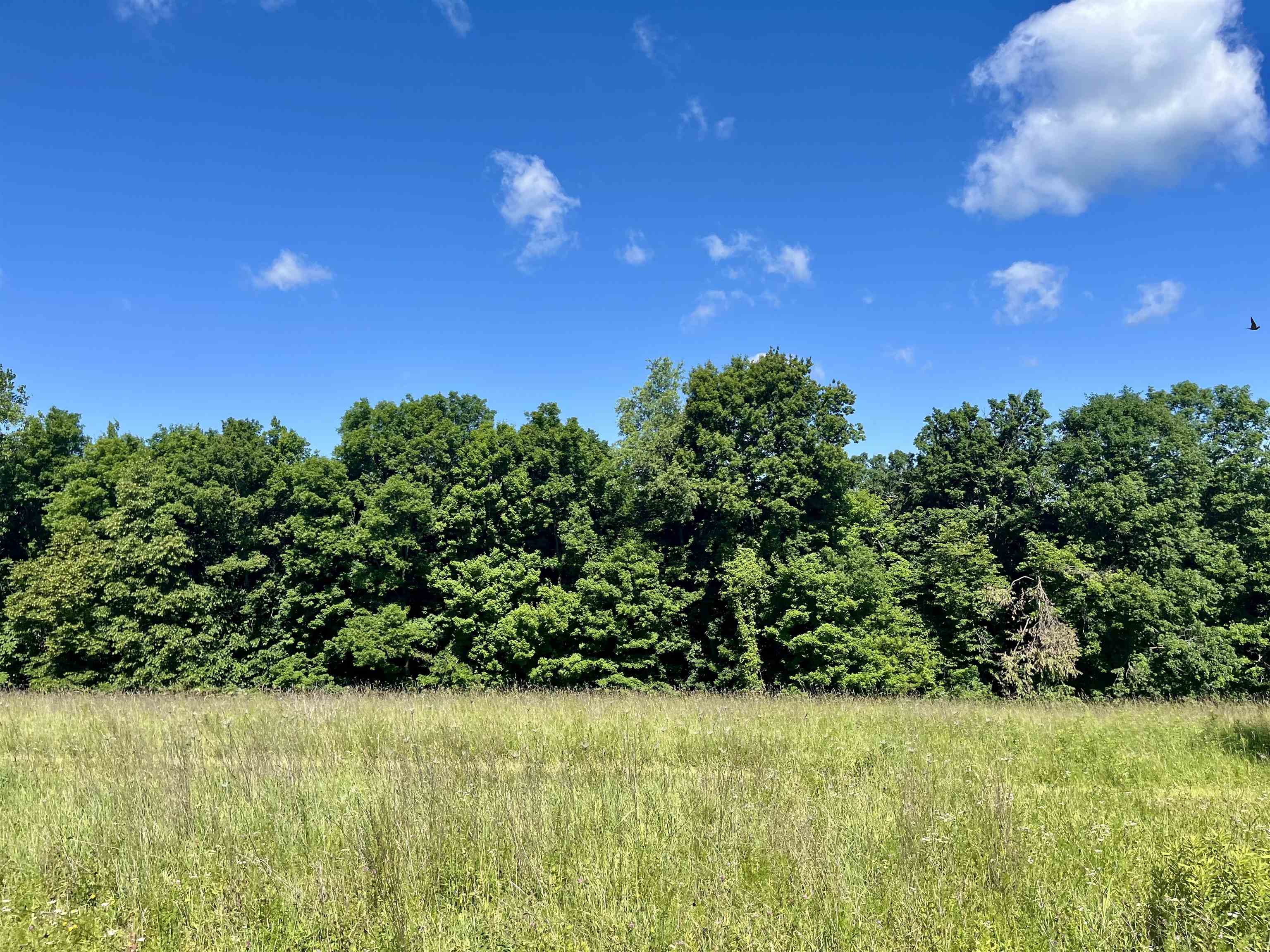 Highway 131 Property Photo 1
