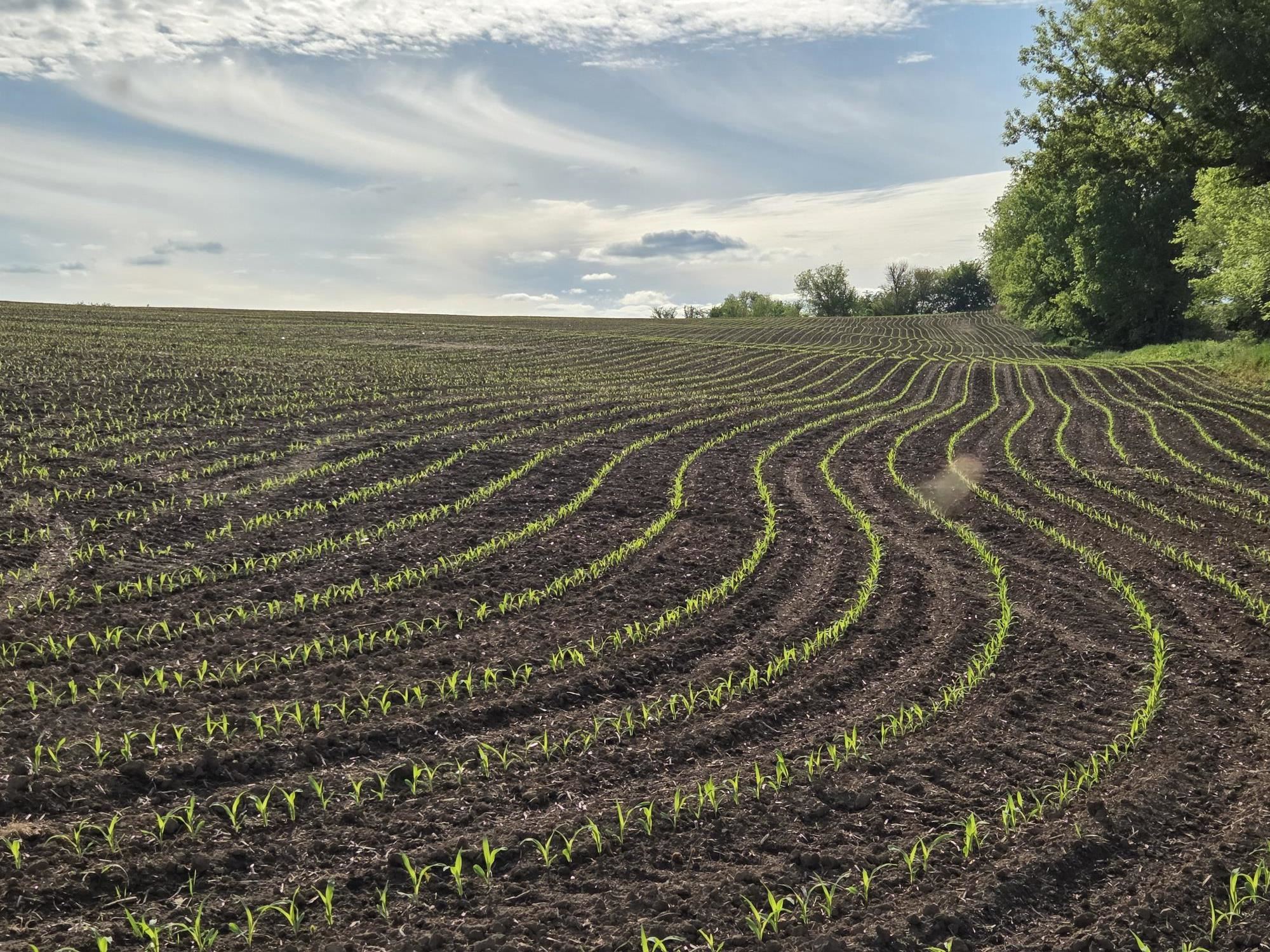 18.5 Ac County Road W Road Property Photo 1
