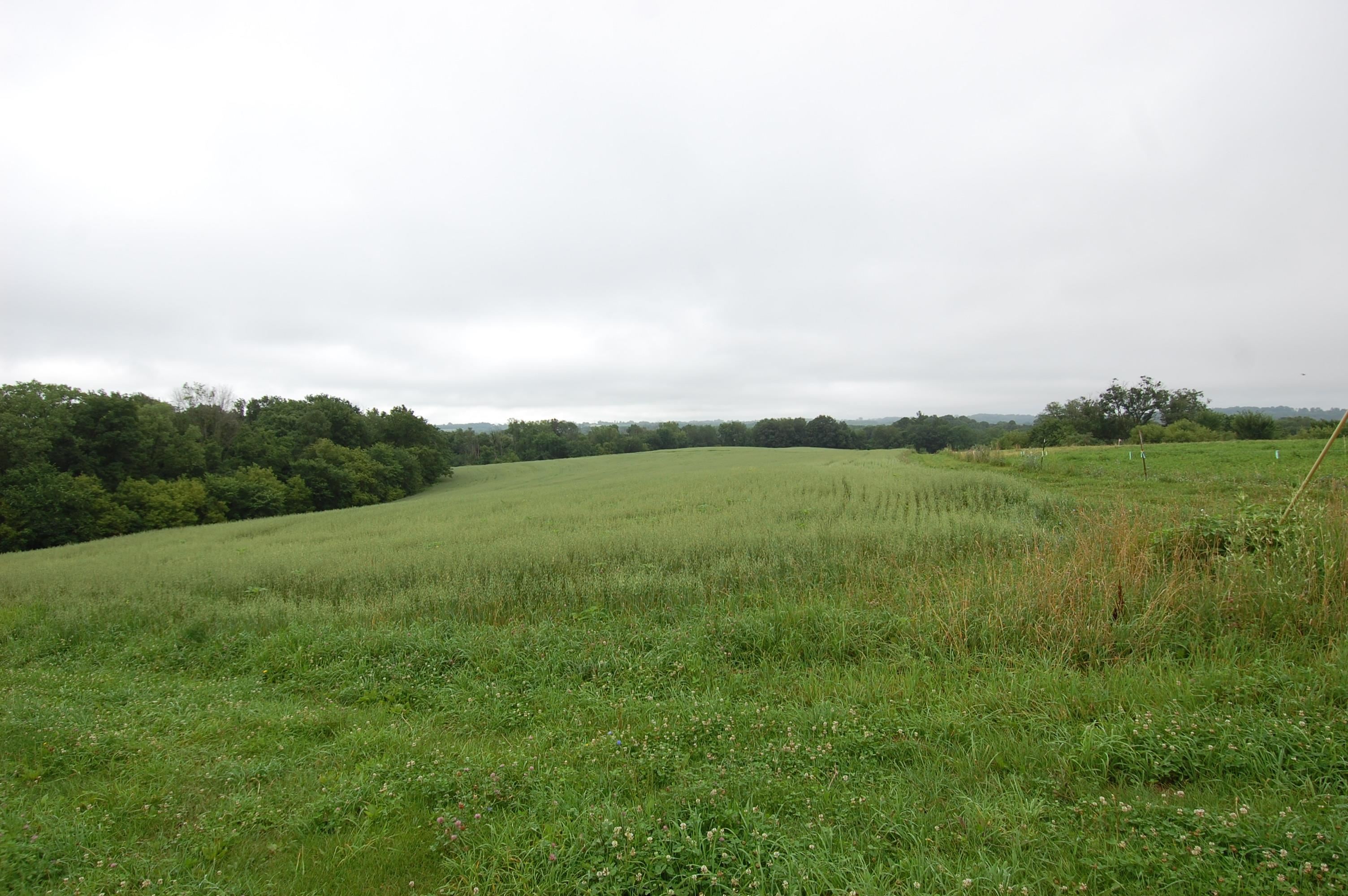 999 Halverson Ridge Road Property Photo 1