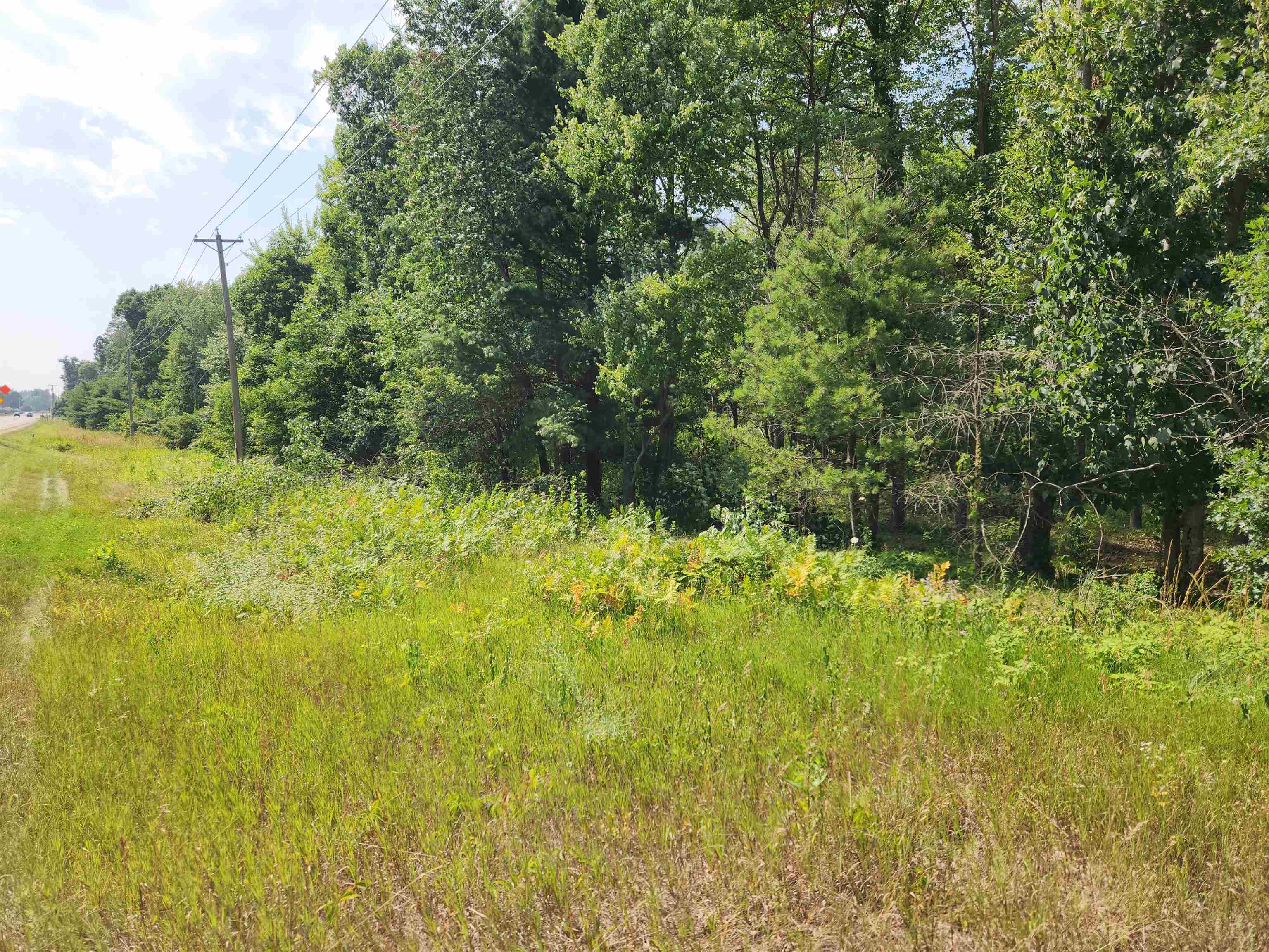 20.22 Ac State Road 21 Property Photo 1