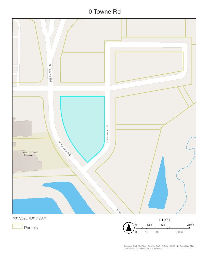 0 N Towne Road Property Photo 1