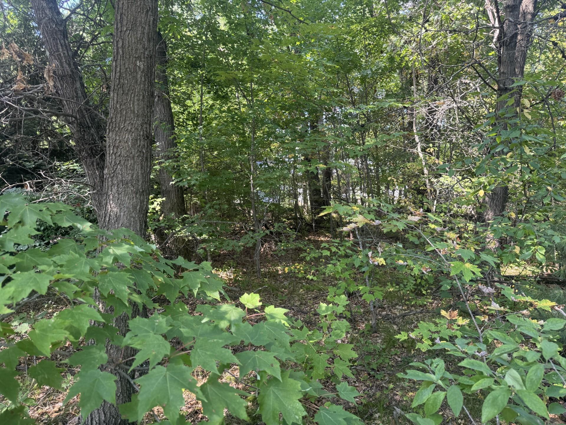 250 White Oak Lane Property Photo 1