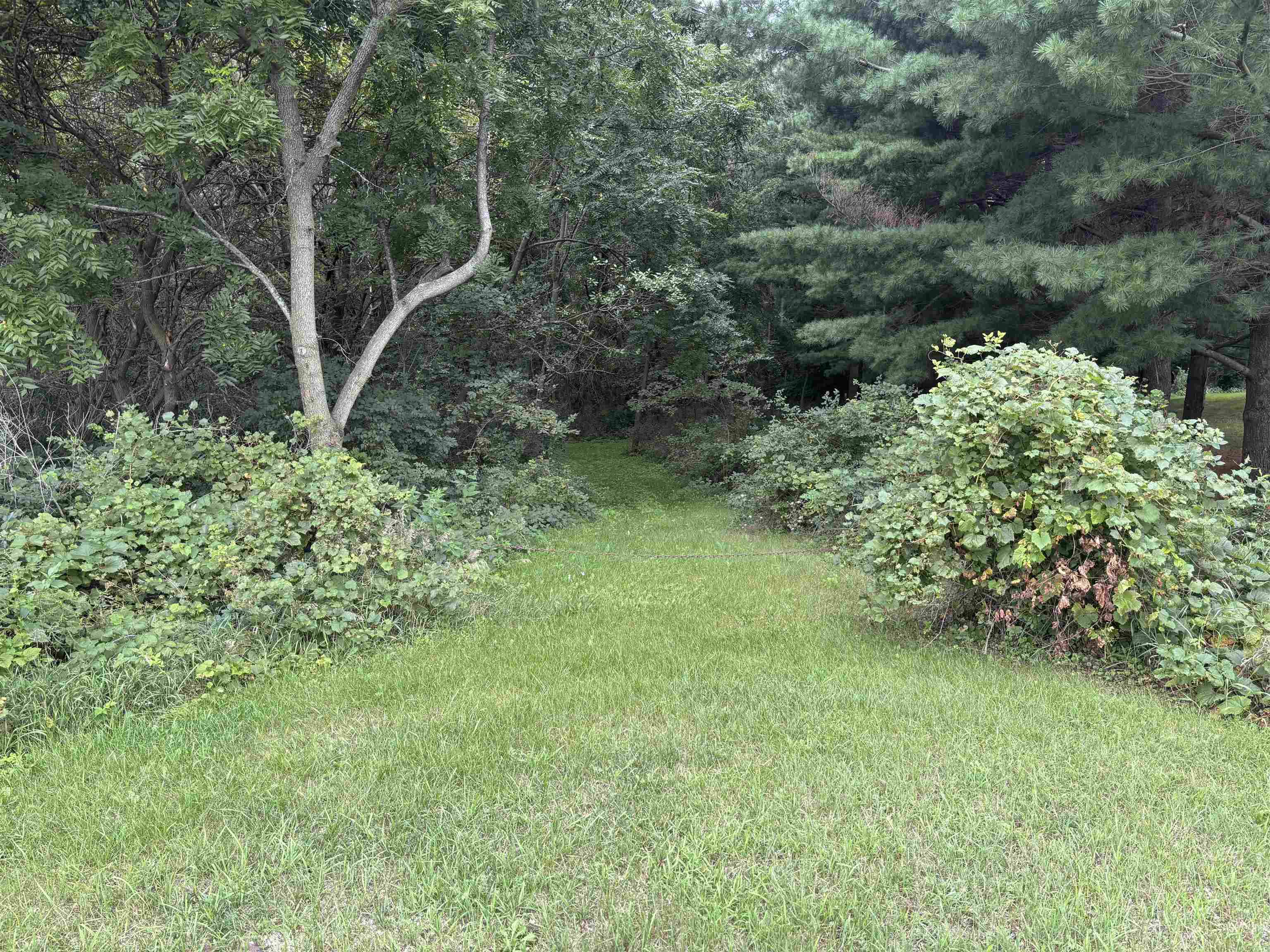 5.35 Acres Seeman Road Property Photo 1