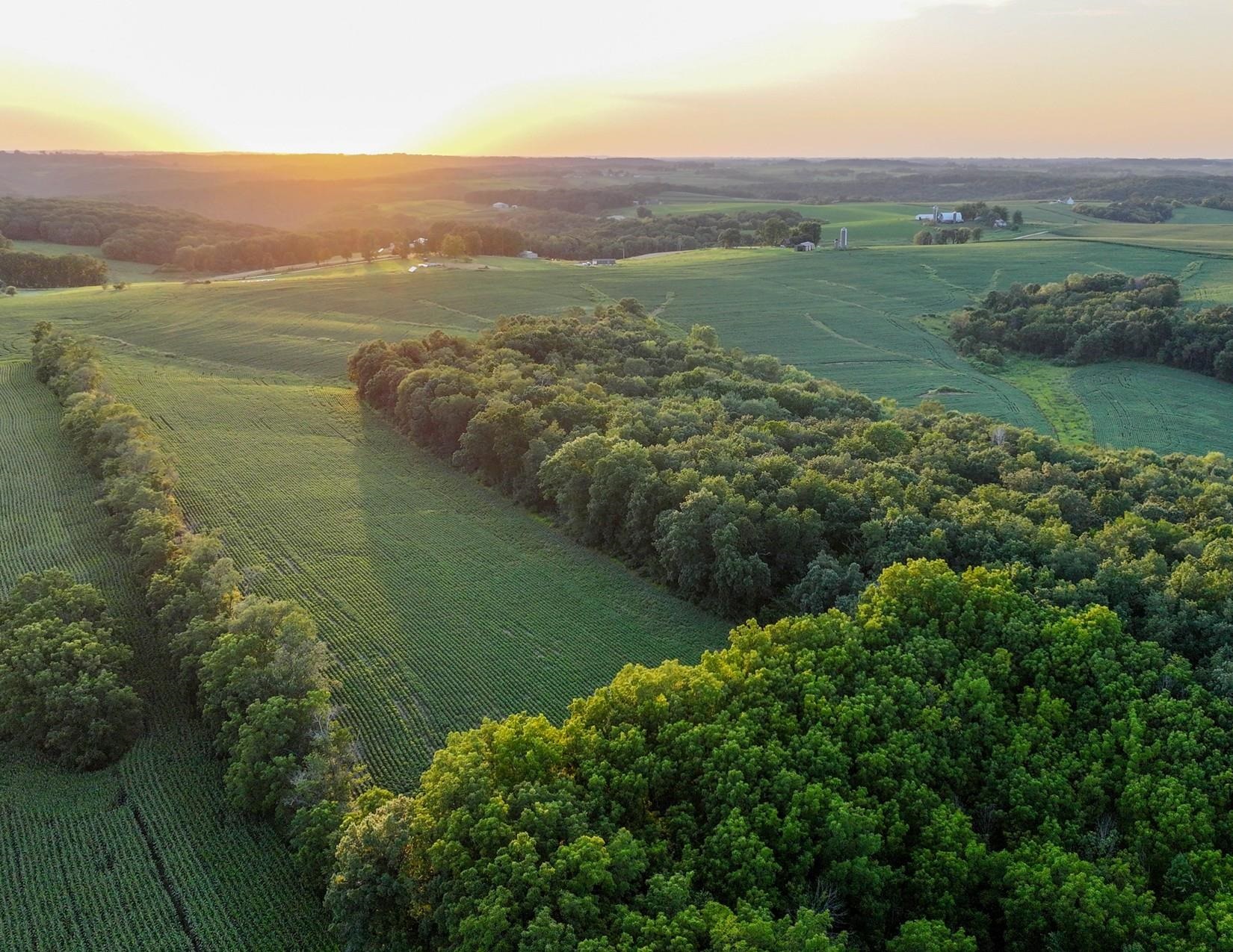 169.75± Acres Stump Ridge Road Property Photo 1