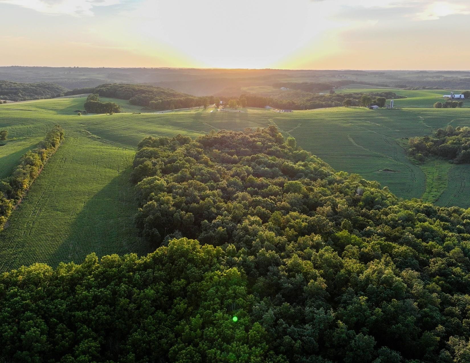 129.53± Acres Stump Ridge Road Property Photo 1
