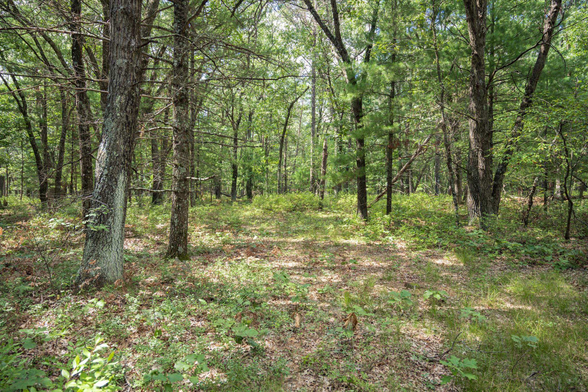 16.36 Acres 7th Avenue Property Photo 1