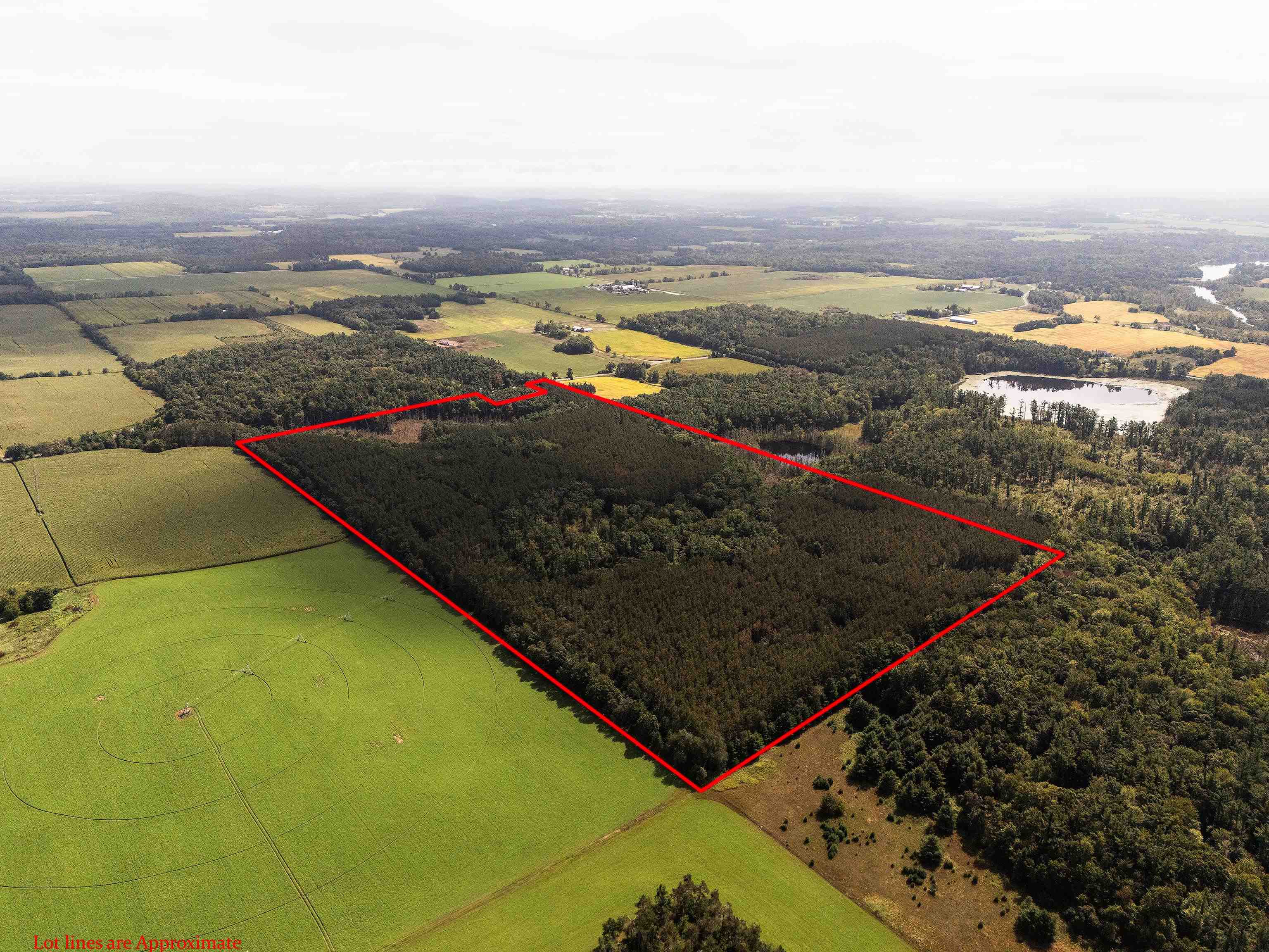 77 +/- Acres Tomorrow River Road Property Photo 1