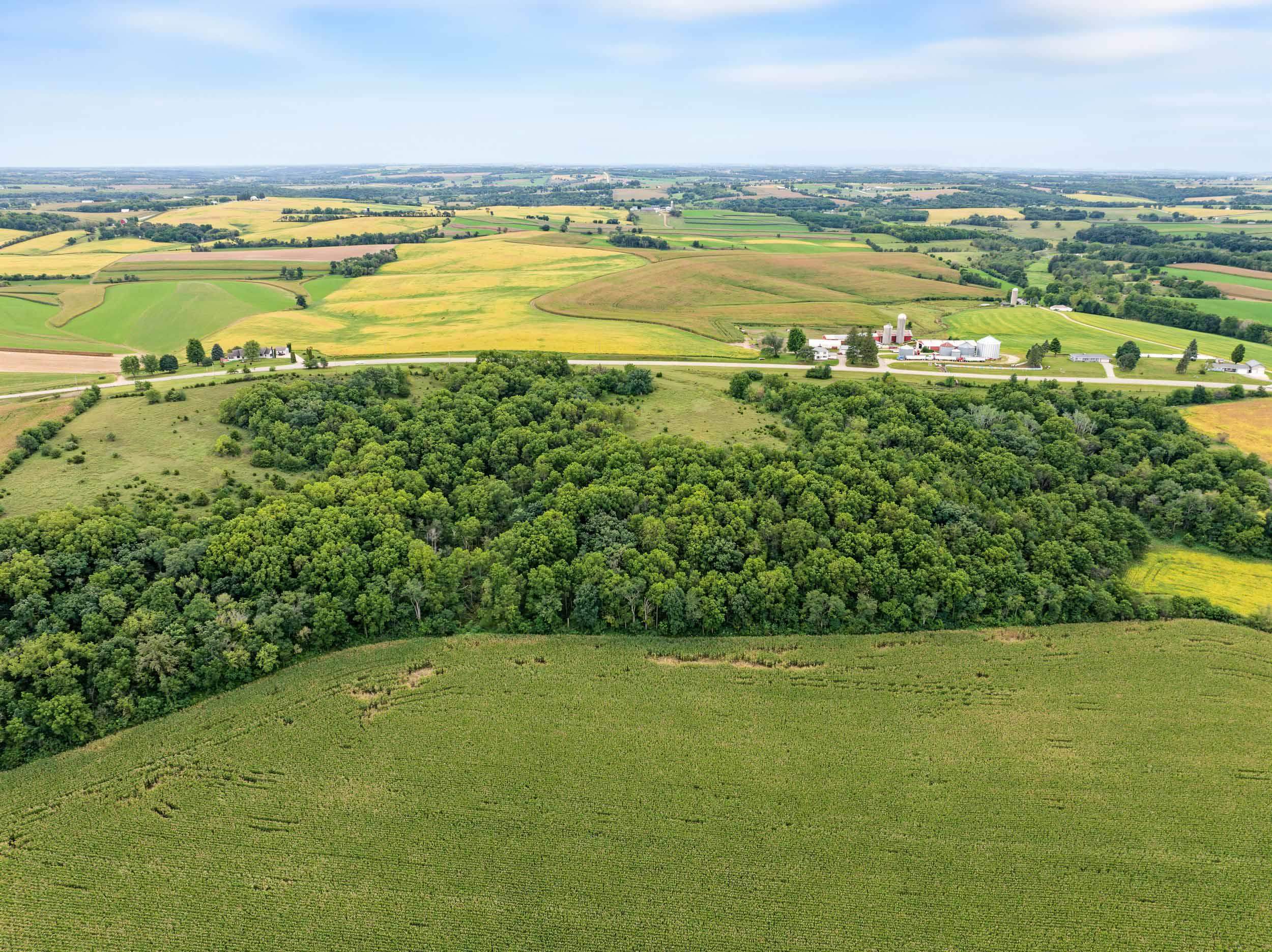 40 +/- Acres Highway 81 Property Photo 1