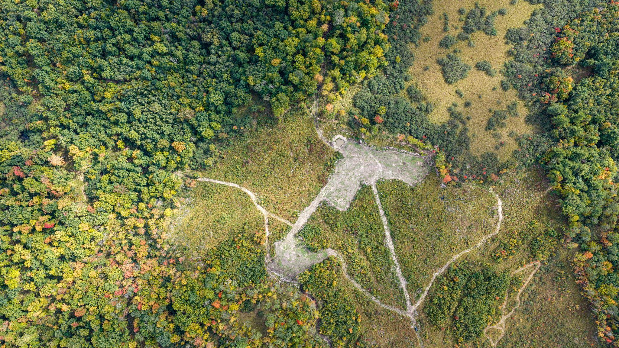 68+/- Acres Badger Avenue