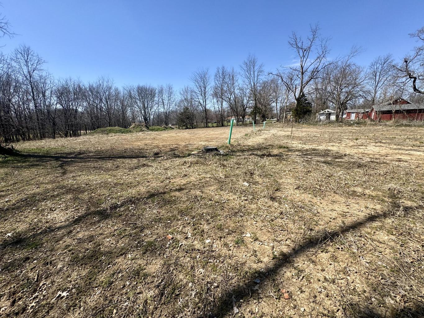 Lot 1-4 E Burks Street Property Photo 1