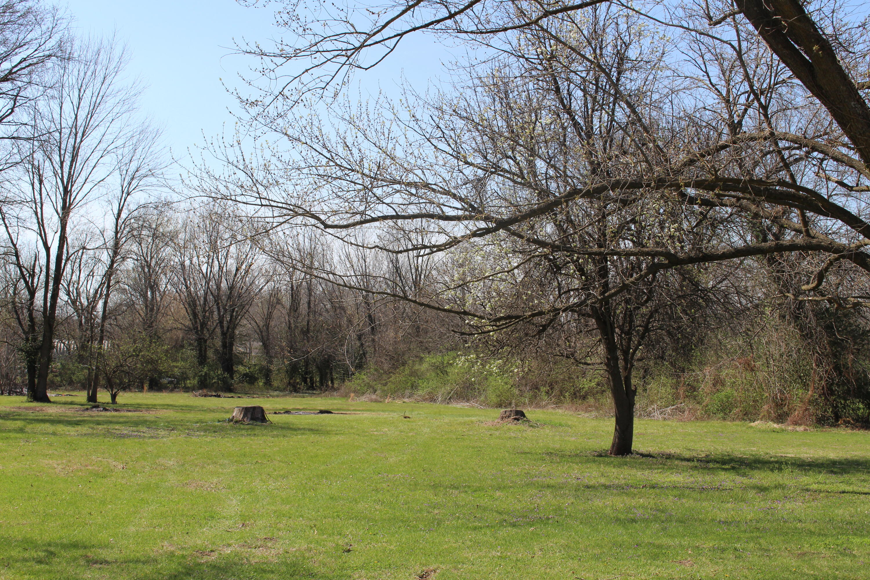 S Caroline Avenue Property Photo 5