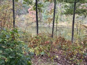 N Timberlakes Circle Property Photo 6