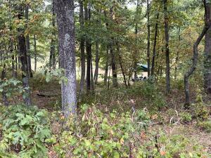 N Timberlakes Circle Property Photo 11