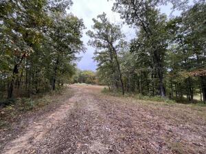 N Timberlakes Circle Property Photo 12