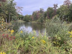 N Timberlakes Circle Property Photo 14
