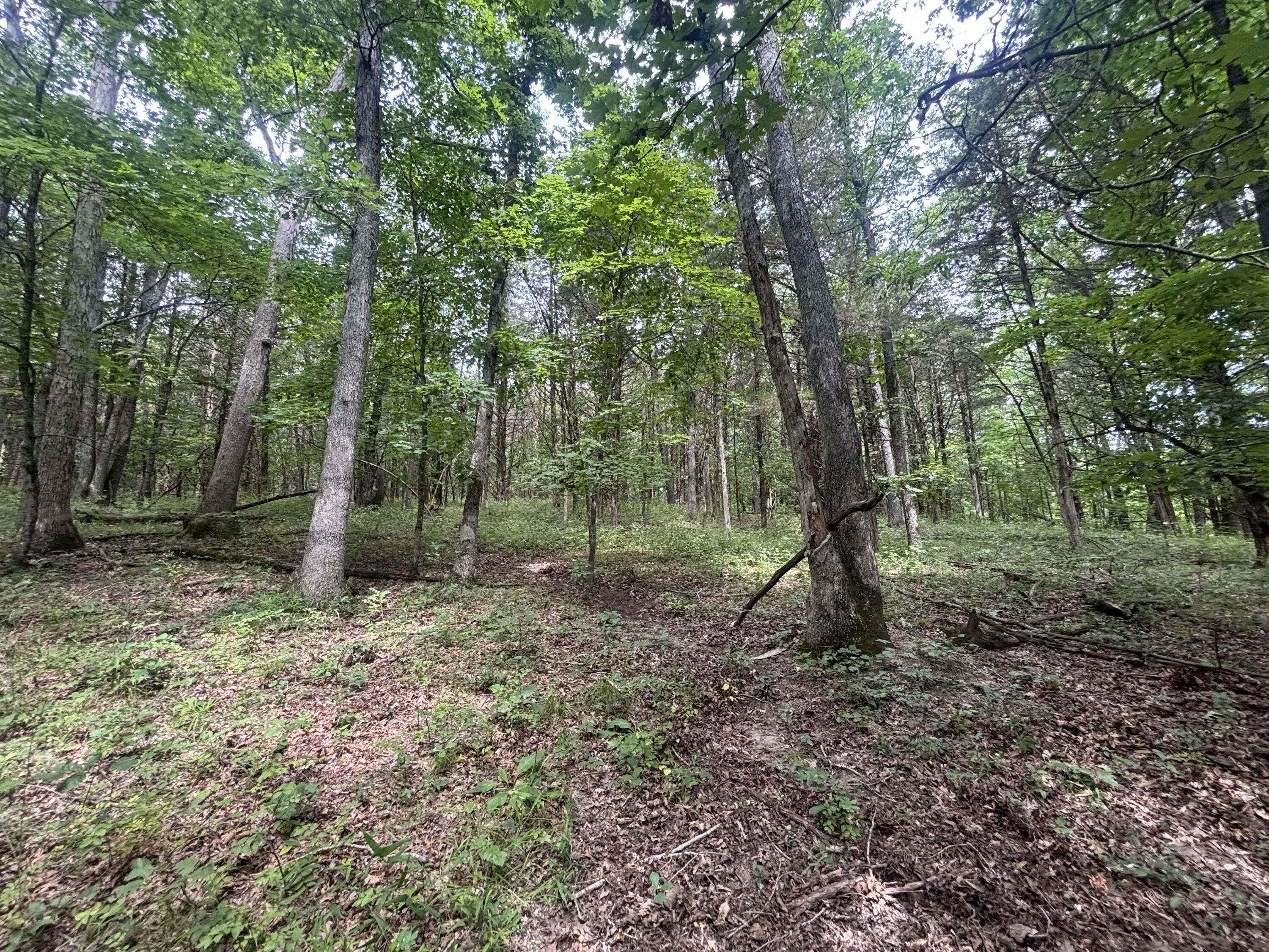 Tbd S Hagans Road Property Photo 1