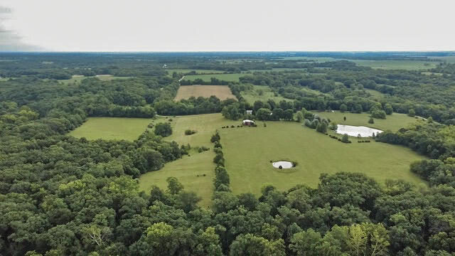 Monroe Road 956