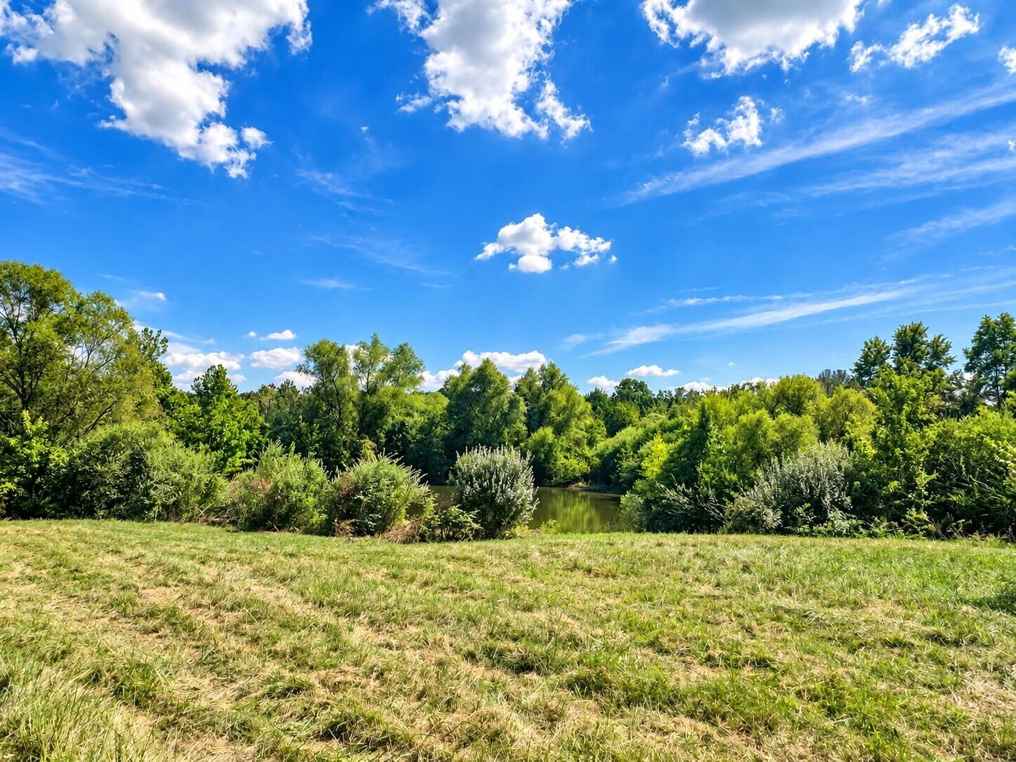 3735 State Road Aa Property Photo 4