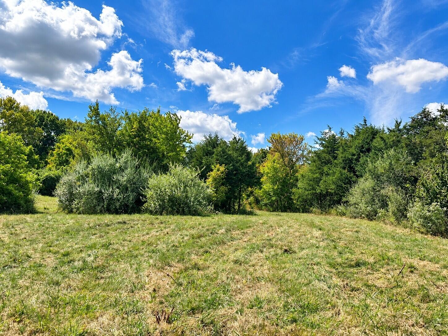 3735 State Road Aa Property Photo 6