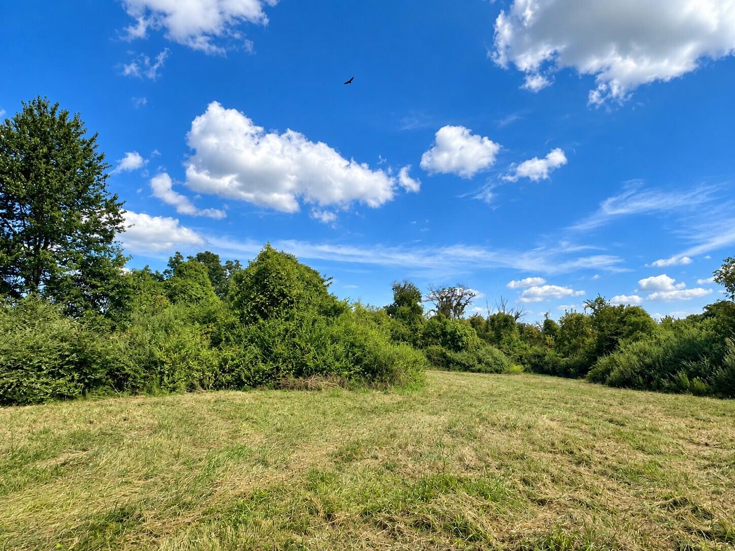 3735 State Road Aa Property Photo 7