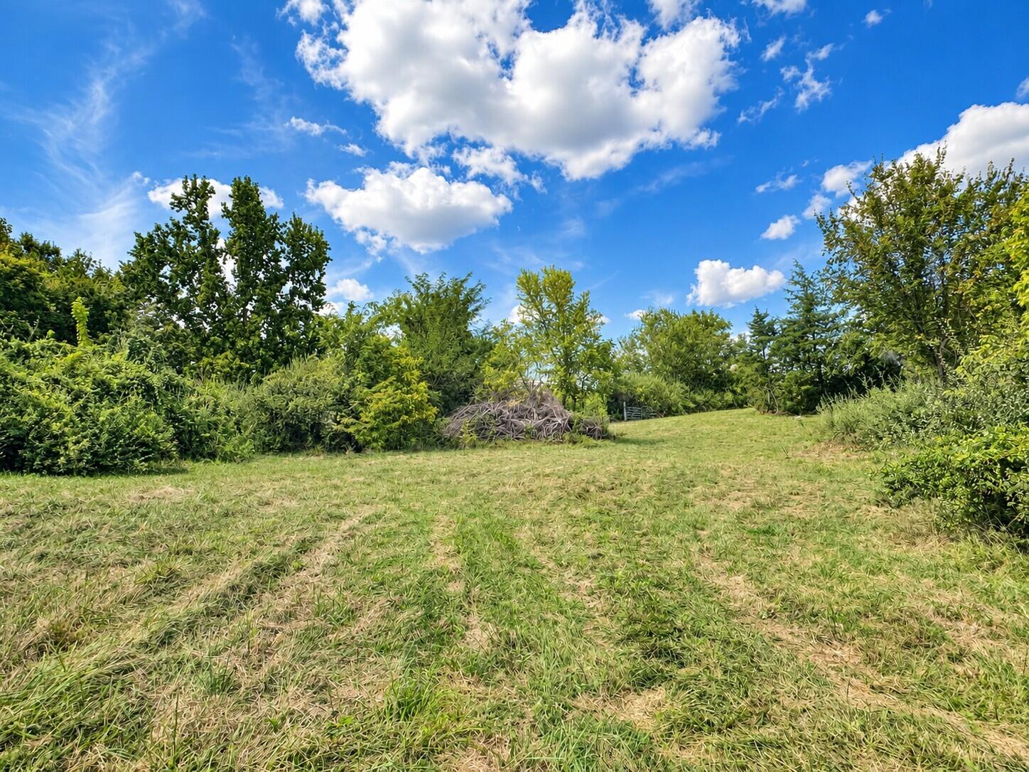 3735 State Road Aa Property Photo 12