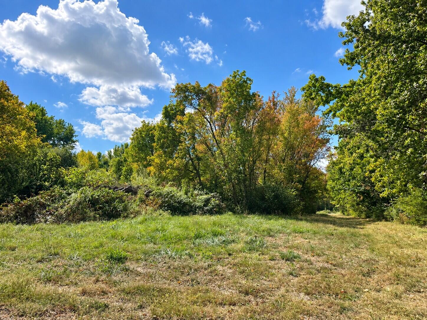 3735 State Road Aa Property Photo 15