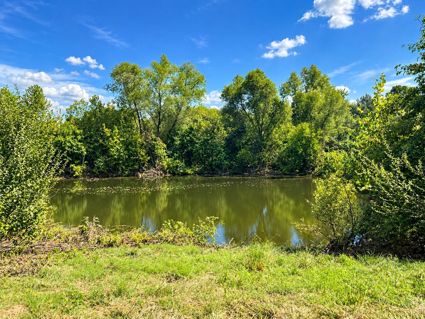 3735 State Road Aa Property Photo 16