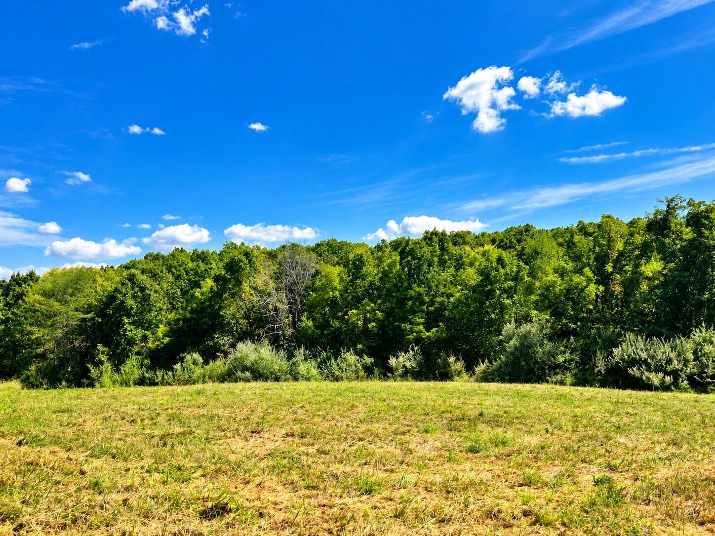 3735 State Road Aa Property Photo 17