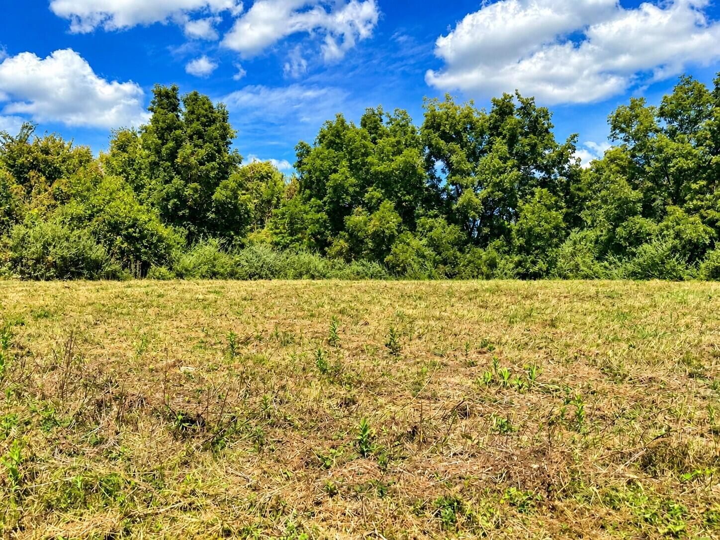 3735 State Road Aa Property Photo 19