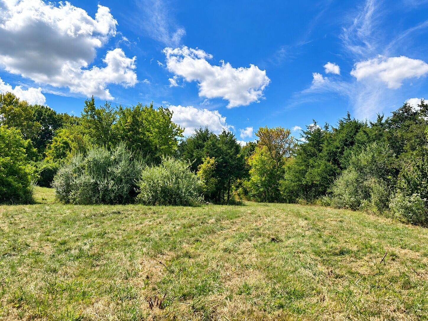 3735 State Road Aa Property Photo 20