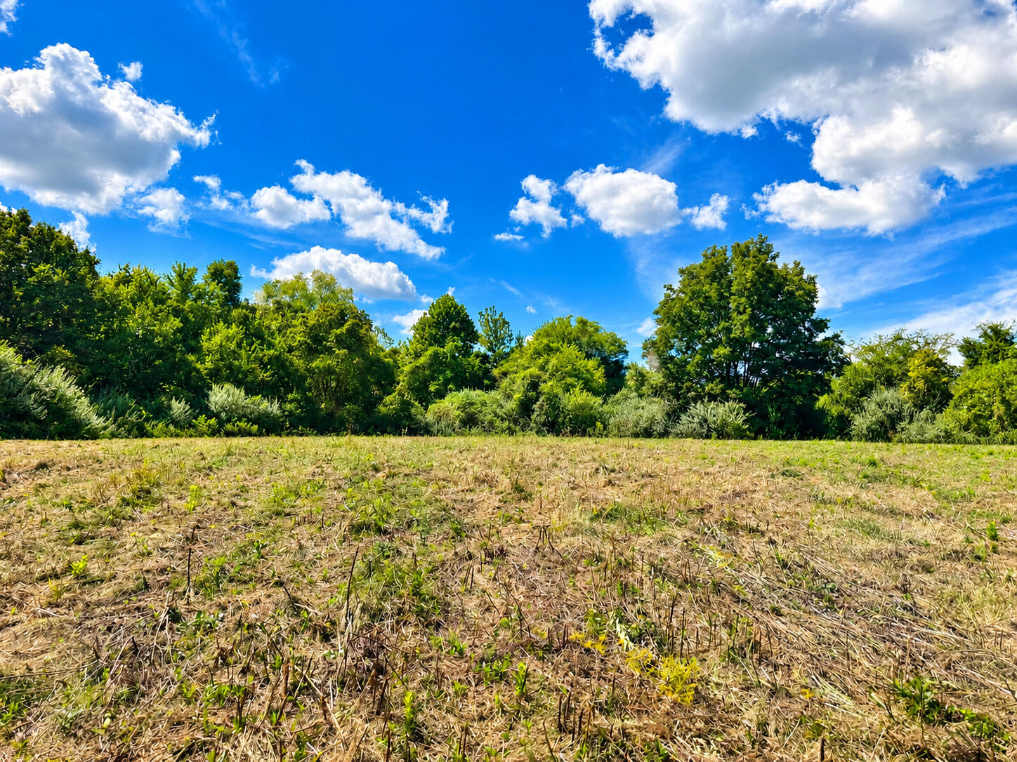 3735 State Road Aa Property Photo 21