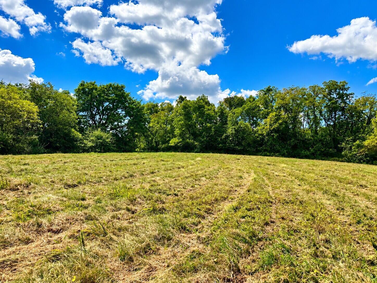 3735 State Road Aa Property Photo 22