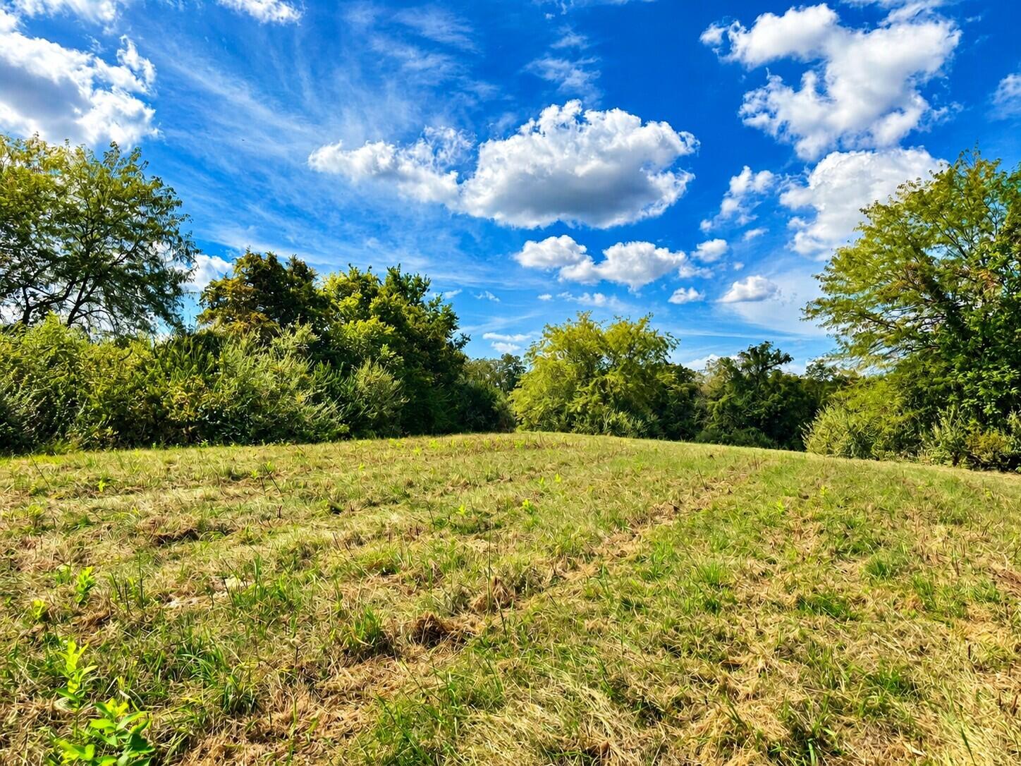 3735 State Road Aa Property Photo 23