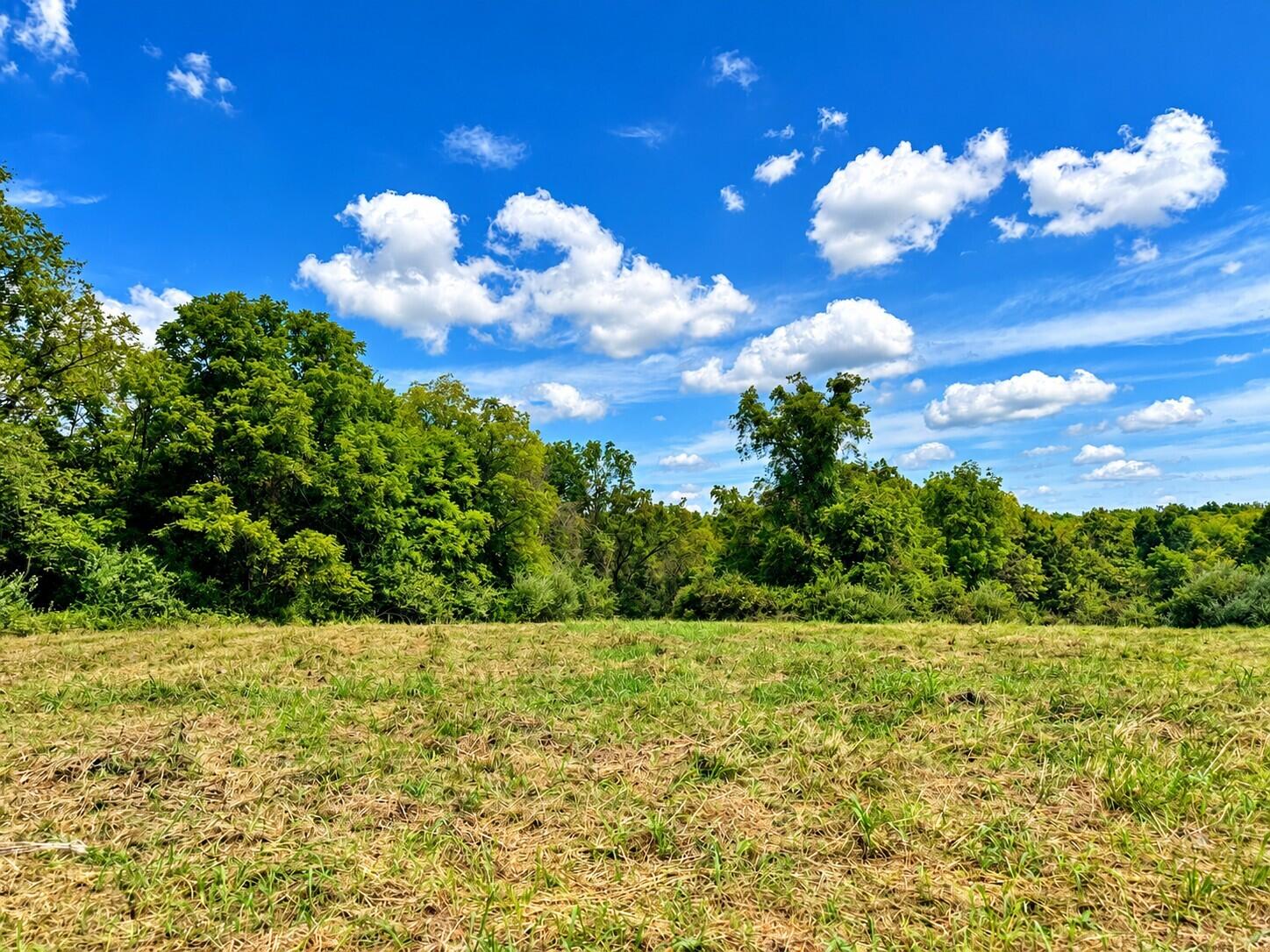 3735 State Road Aa Property Photo 24