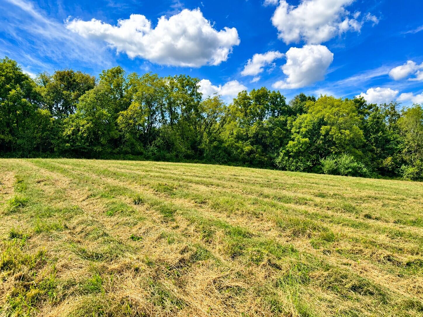 3735 State Road Aa Property Photo 25