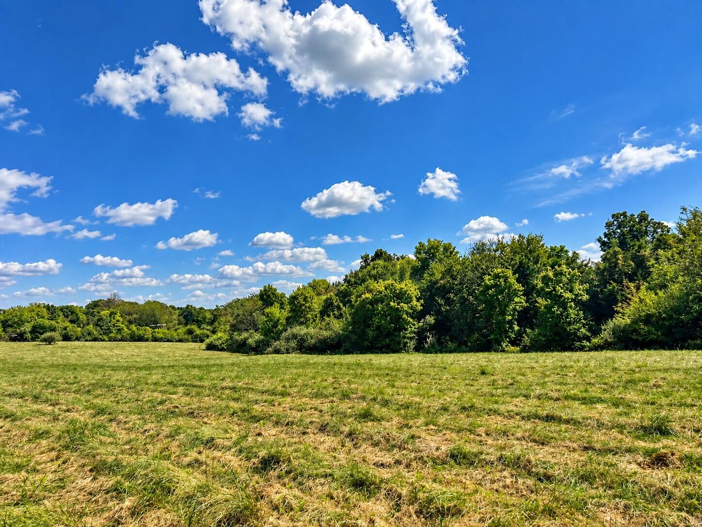 3735 State Road Aa Property Photo 26